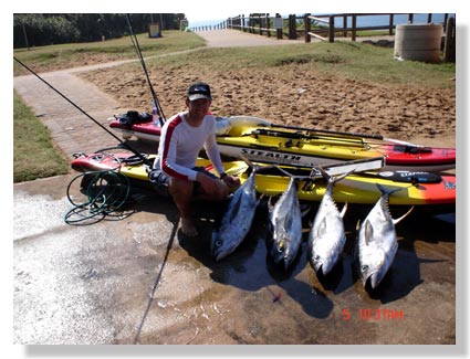 Yellowfin Tuna 40-45 pounds