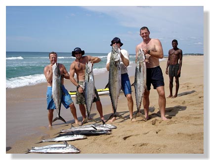 King Mackerels