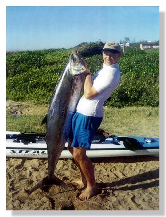 King Mackerel 70 pounds