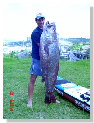 Sea Bass 80 pounds