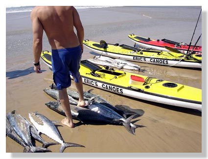 King Mackerels