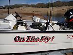 On The Fly!'s Avatar